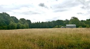 Photo 8- click for photo gallery